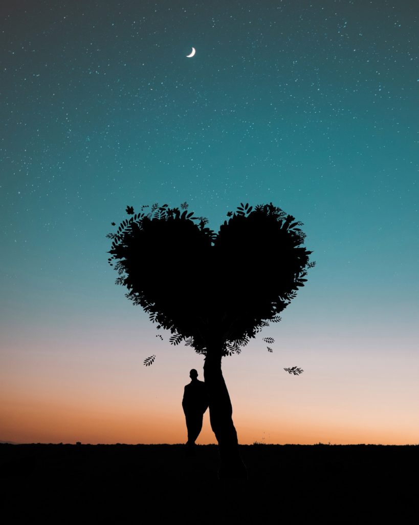 silhouette photo of man leaning on heart shaped tree